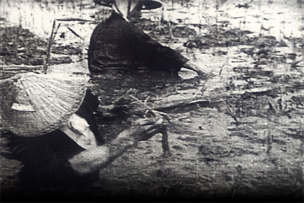 Prologue Novelist Moved by the Farmers' Iron Spirit