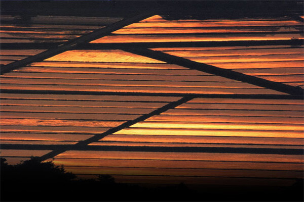 Chapter 9 Impending Crisis to the Niigata Plain