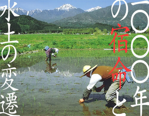 Chapter 5 1,000 Years of Hardship and the Transformation of Land and Water Resources