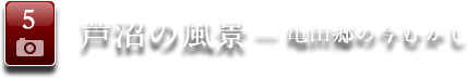 5 芦沼の風景 ― 亀田郷の今むかし