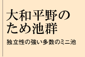 大和平野のため池群