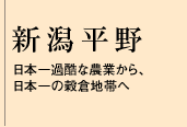 新潟平野