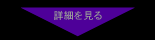 詳細を見る